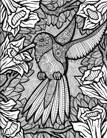 Hummingbird Zentangle Coloring Page